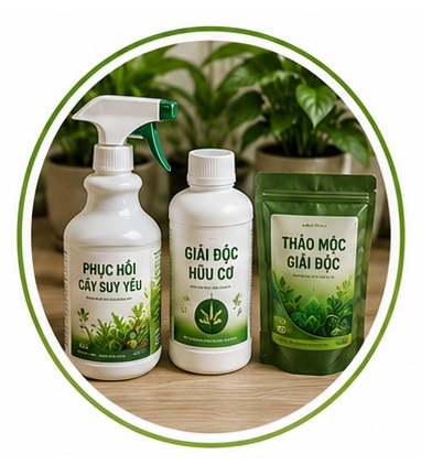 Phân phục hồi cây và hỗ trợ giải độc cho cây xanh